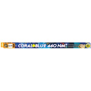 Zoo Med Coral Blue 460nm T5-HO Lamp, 39 x 34-in