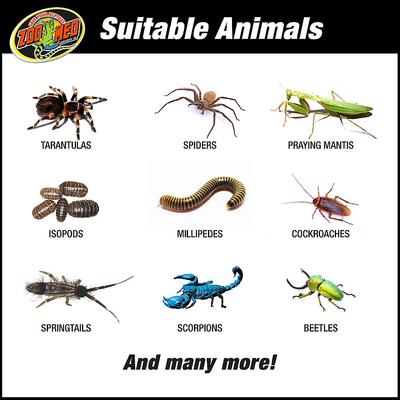 Show full view: Zoo Med Creatures Den Low Profile Starter Kit, 6-gal slide 6 of 7