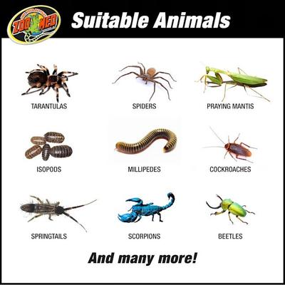 Show full view: Zoo Med Creatures Reptile Habitat Kit, 3-gal bag slide 7 of 8