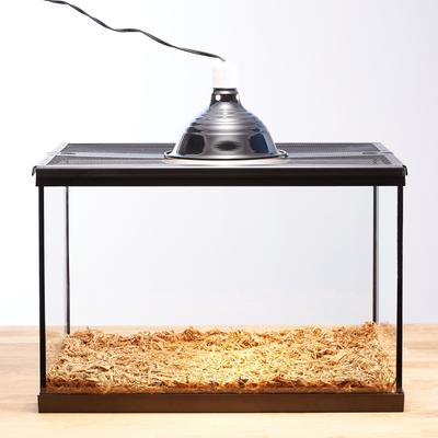 Show full view: Zoo Med Daylight Blue & Nightlight Red Reptile Lamp, Combo Pack slide 6 of 12