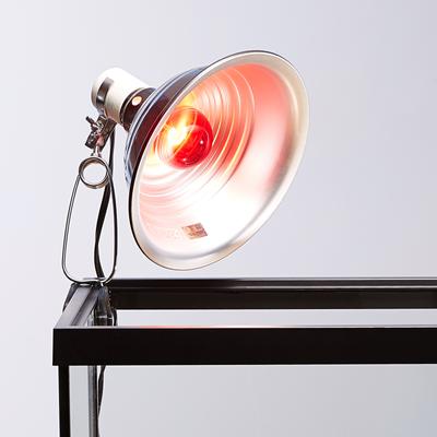 Show full view: Zoo Med Daylight Blue & Nightlight Red Reptile Lamp, Combo Pack slide 8 of 12