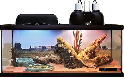 Show full view: Zoo Med Daylight Blue Reptile Lamp, 100-Watt slide 6 of 10