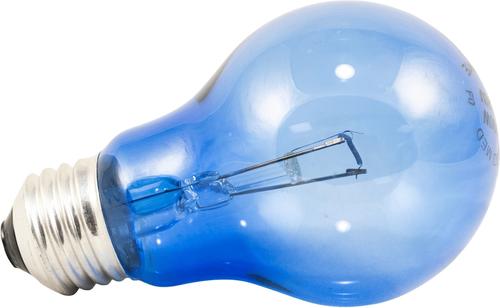 Show full view: Zoo Med Daylight Blue Reptile Lamp, 40-Watt slide 6 of 10