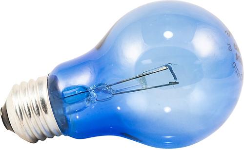 Show full view: Zoo Med Daylight Blue Reptile Lamp, 60-Watt slide 5 of 9