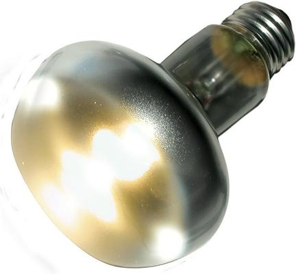 Show full view: Zoo Med Day/Night Lighting Reptile Kit, Desert slide 3 of 6