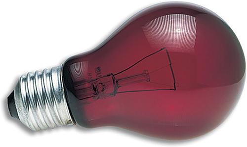 Show full view: Zoo Med Day/Night Lighting Reptile Kit, Tropical slide 4 of 8