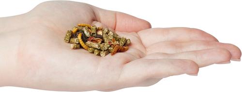 Show full view: Zoo Med Gourmet Bearded Dragon Food, 15-oz jar slide 4 of 5