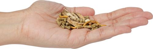 Show full view: Zoo Med Gourmet Box Turtle Food, 15-oz jar slide 4 of 5