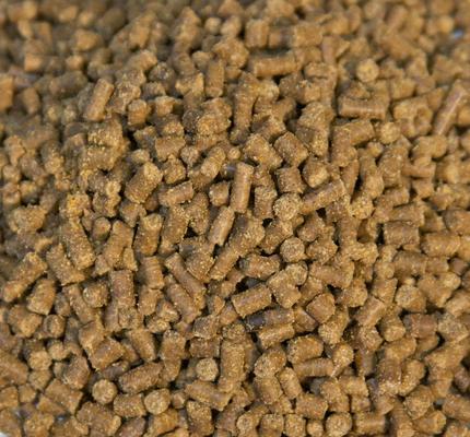 Show full view: Zoo Med Hermit Crab Food, 2.4-oz jar slide 2 of 4