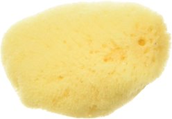 Zoo Med Hermit Crab Sea Sponge slide 2 of 2
