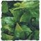 Show in main carousel: Zoo Med Mexican Phyllo Reptile Plant, Medium slide 1 of 2
