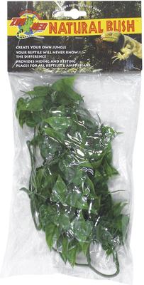 Show full view: Zoo Med Mexican Phyllo Reptile Plant, Small slide 2 of 2