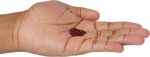 Show full view: Zoo Med Micro Floating Betta Fish Pellets slide 4 of 6