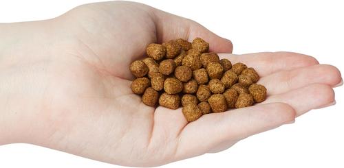 Show full view: Zoo Med Natural Aquatic Maintenance Formula Turtle Food, 12-oz jar slide 4 of 8