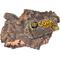 Show in main carousel: Zoo Med Natural Cork Flats Reptile Hideout, Medium slide 1 of 3