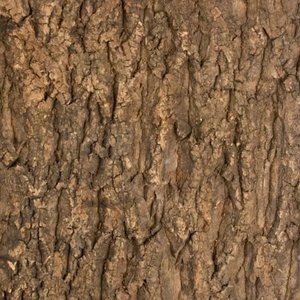 Zoo Med Natural Cork Tile Aquarium Background, 18 x 18-in