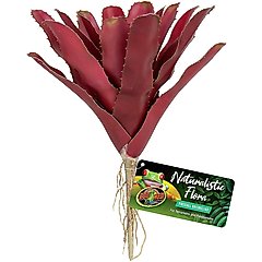 Zoo Med Naturalistic Flora Fireball Bromeliad Artificial Plant
