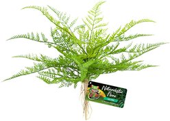Zoo Med Naturalistic Flora Lace Fern Artificial Plant