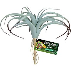 Zoo Med Naturalistic Flora Tillandsia Air Artificial Plant