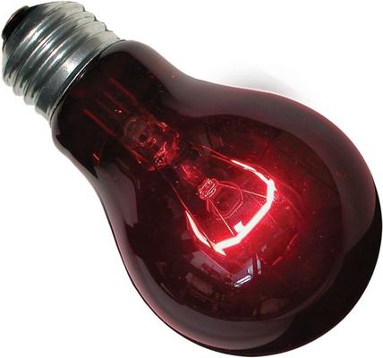 Show full view: Zoo Med Nightlight Red Reptile Terrarium Bulb, 60-watt slide 2 of 8