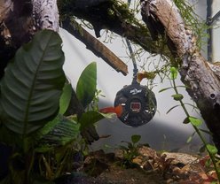 Zoo Med Paludarium Heater, 100W slide 2 of 2