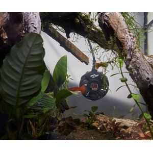 Zoo Med Paludarium Heater, 100W