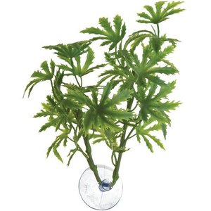 Zoo Med Papaya Betta Plant