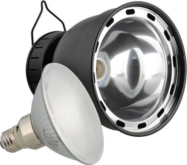 ZOOMED POWERSUN H.I.D. 70W ソケット Amazon.com : Zoo Med Labs 70W PowerSun Metal Halide HID Bulb
