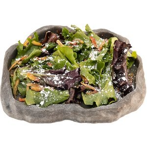 Zoo Med Repti Calcium with D3 Reptile Supplement, 3-oz jar