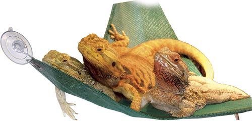 Show full view: Zoo Med Repti Hammock, Giant slide 2 of 11