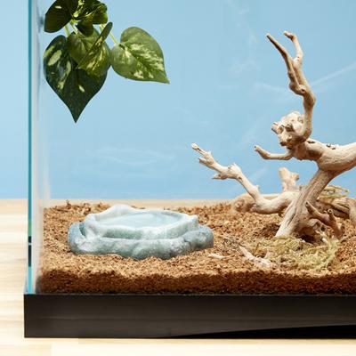 Show full view: Zoo Med Repti Rock Reptile Rock Food & Water Dishes, Small slide 3 of 6