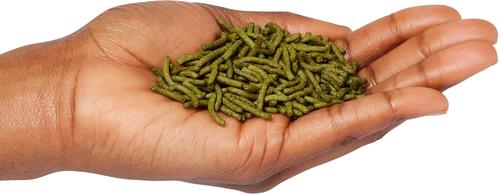 Show full view: Zoo Med Repti Sticks Floating Aquatic Turtle Food, 4.85-oz jar slide 4 of 6