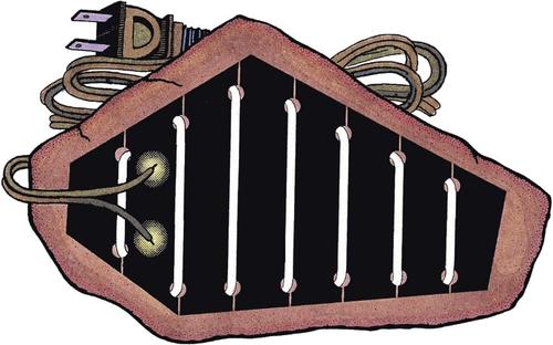 Show full view: Zoo Med Repticare Rock Heater slide 6 of 10