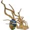 Show in main carousel: Zoo Med Reptile Wood, Natural, Medium slide 1 of 2