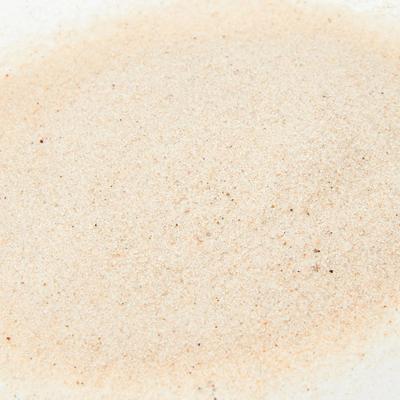 Show full view: Zoo Med ReptiSand Reptile Sand, Desert White, 10-lb bag slide 3 of 5