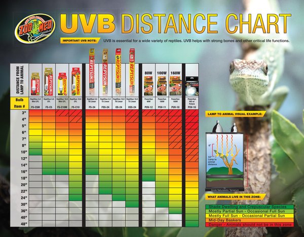 Show full view: Zoo Med ReptiSun 10.0 T5-HO UVB Fluorescent Reptile Lamp, 24 x 2-in slide 3 of 4