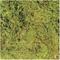 Show in main carousel: Zoo Med Terrarium Moss Reptile Substrate, Medium slide 2 of 5
