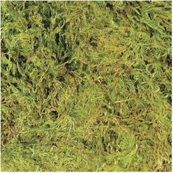 Zoo Med Terrarium Moss Reptile Substrate, 20-gal slide 2 of 2