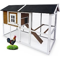 ZooVilla Farmstead Chicken Coop, 8 Chicken Capacity