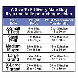 ZorbiPad ZorbiPants Dog Diaper, Large slide 2 of 2