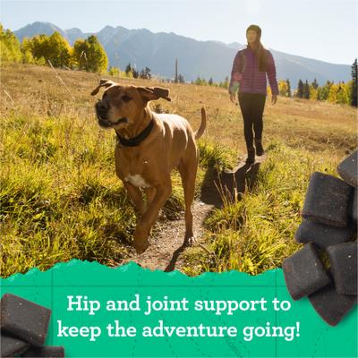 Show full view: Zuke's Hip & Joint Natural Bag of Treats with Hip & Joint Support Beef Recipe Soft & Chewy Dog Treats, 6-oz bag slide 4 of 13