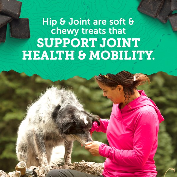 Yummy Chummies Hip & Joint Recipe Dog Treats