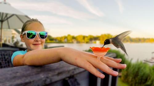 Show full view: ZUMMR Hummingbird Ring Bird Feeder, 3 count slide 6 of 11