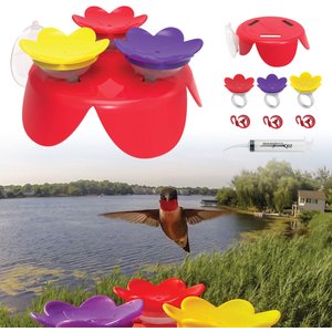ZUMMR Hummingbird Ring Bird Feeder Starter Kit - Chewy.com