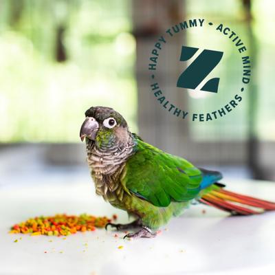 Show full view: ZuPreem FruitBlend Flavor with Natural Flavors Daily Medium Bird Food, 0.875-lb bag slide 5 of 10
