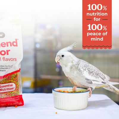 Show full view: ZuPreem FruitBlend Flavor with Natural Flavors Daily Medium Bird Food, 0.875-lb bag slide 6 of 10