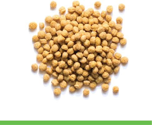 Show full view: ZuPreem Natural Smart Pellets Bird Food, 10-lb bag slide 3 of 8