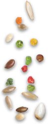 ZuPreem Smart Selects Canary & Finch Food, 2-lb bag slide 2 of 8