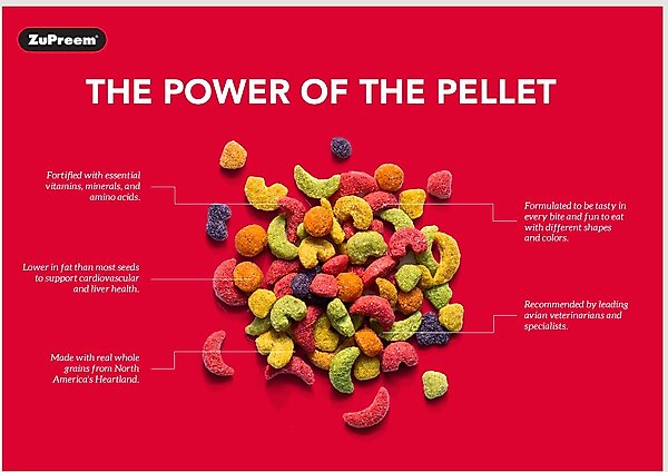Show full view: ZuPreem VeggieBlend Flavor with Natural Flavor, Daily Parrot & Conure Food, 3.25-lb bag slide 6 of 7