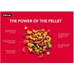Show in main carousel: ZuPreem VeggieBlend Flavor with Natural Flavor, Daily Parrot & Conure Food, 3.25-lb bag slide 6 of 7
